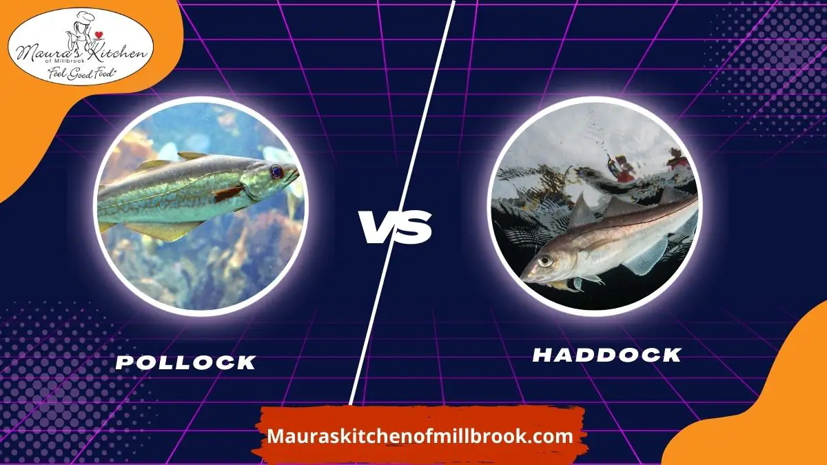 Haddock Vs Pollock